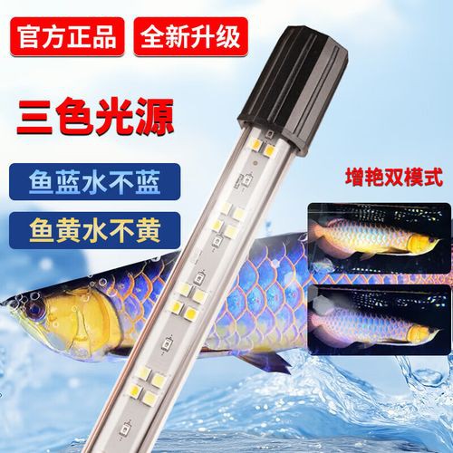 金龍魚燈使用多久需要更換？