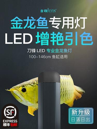 金龍魚燈使用多久需要更換？