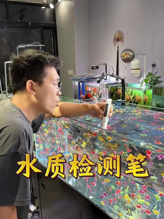 如何維護金龍魚的水質？ 如何維護金龍魚的水質？ 龍魚百科 第11張