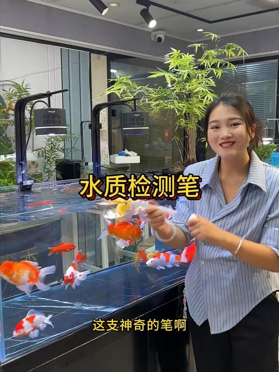 如何維護金龍魚的水質？ 如何維護金龍魚的水質？ 龍魚百科 第13張