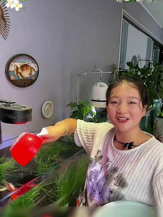 如何維護金龍魚的水質？ 如何維護金龍魚的水質？ 龍魚百科 第8張