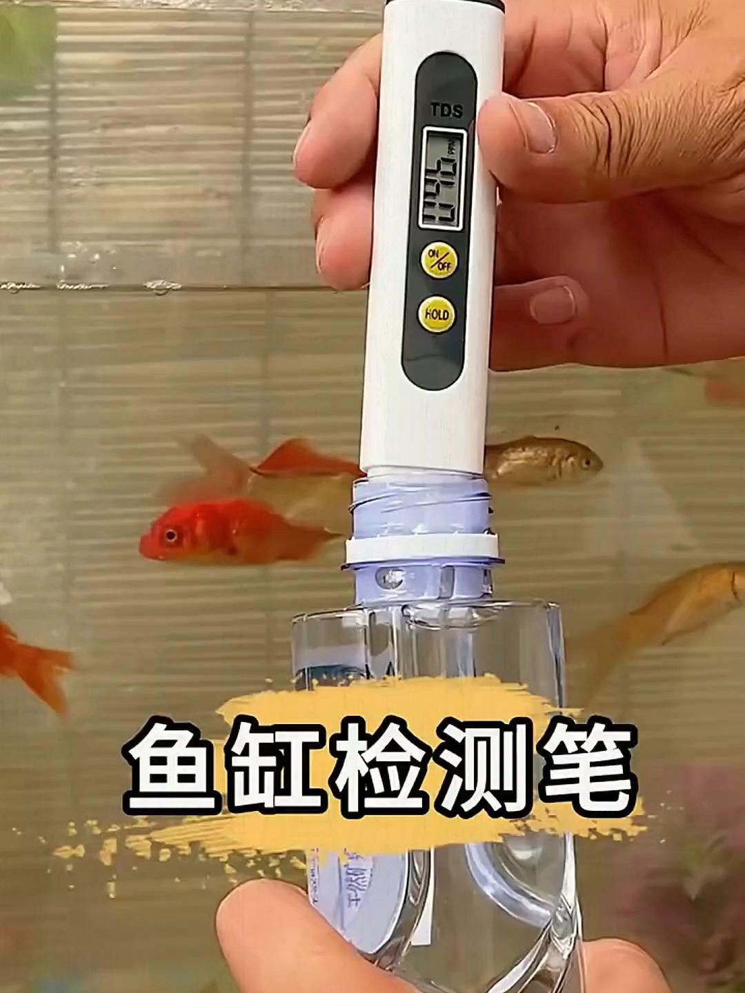 如何維護金龍魚的水質？ 如何維護金龍魚的水質？ 龍魚百科 第10張