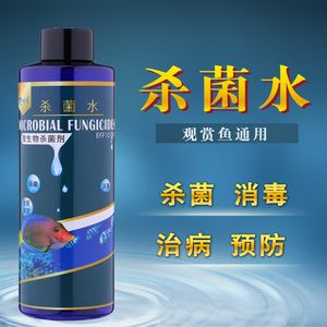 龍魚能吃面包蟲嗎怎么喂飼料：龍魚能吃面包蟲嗎？怎么喂？ 龍魚能吃面包蟲嗎怎么喂飼料：龍魚能吃面包蟲嗎？怎么喂？ 龍魚百科 第2張