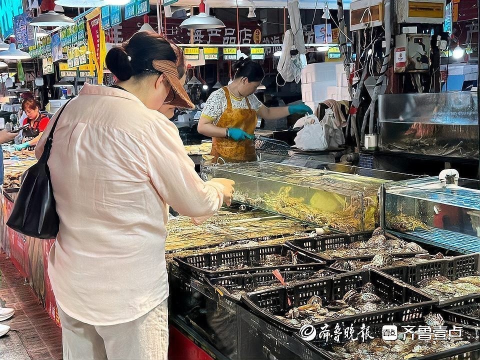 青島龍魚魚苗漁場在哪里啊多少錢一斤