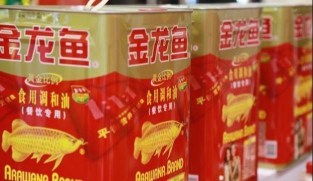 金龍魚外企哪個國家（金龍魚品牌及牌及其所屬公司）