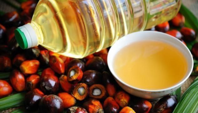 金龍魚外企哪個國家（金龍魚品牌及牌及其所屬公司）