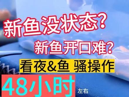 龍魚(yú)趴缸多久能好起來(lái)