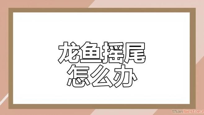 龍魚翹尾巴怎么回事視頻