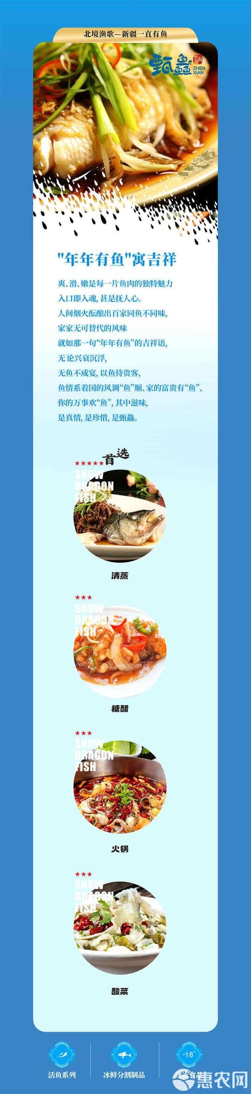 雪龍魚是海魚還是河魚圖片高清 雪龍魚是海魚還是河魚圖片高清 龍魚百科 第19張