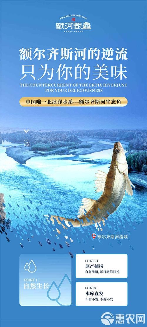 雪龍魚是海魚還是河魚圖片高清 雪龍魚是海魚還是河魚圖片高清 龍魚百科 第2張