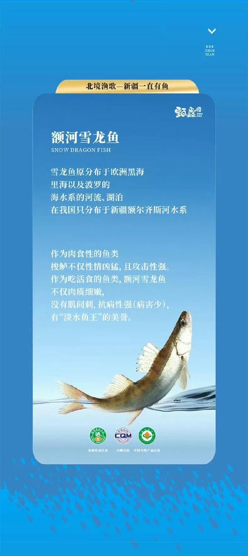 雪龍魚是海魚還是河魚圖片高清 雪龍魚是海魚還是河魚圖片高清 龍魚百科 第21張