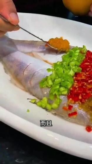 雪龍魚是海魚還是河魚圖片高清 雪龍魚是海魚還是河魚圖片高清 龍魚百科 第4張