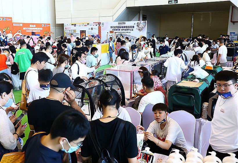 濟南龍魚展會地址電話是多少