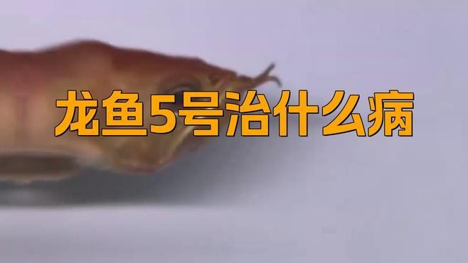 龍魚5號藥水怎么用