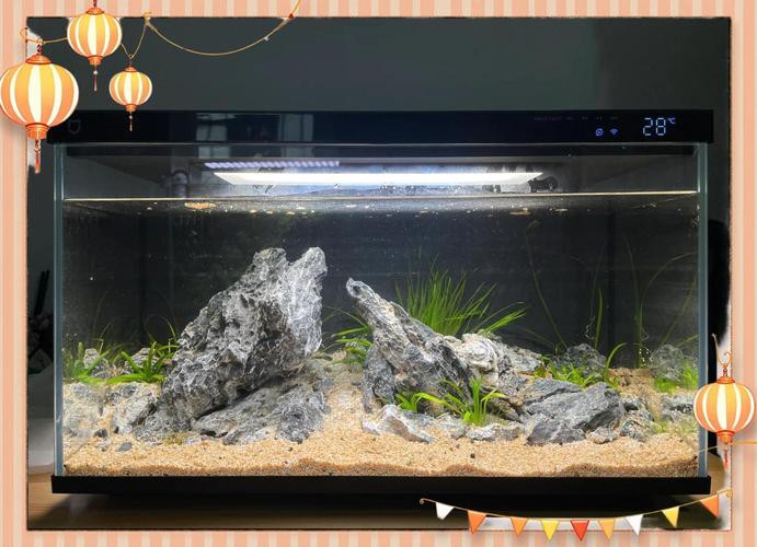 小米2代魚缸適合哪些魚類？