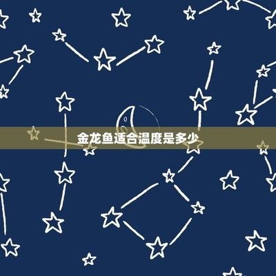 龍魚最喜歡的溫度和濕度是什么意思龍魚最喜歡的溫度和濕度：龍魚最喜歡的溫度和濕度是什么意思呢？