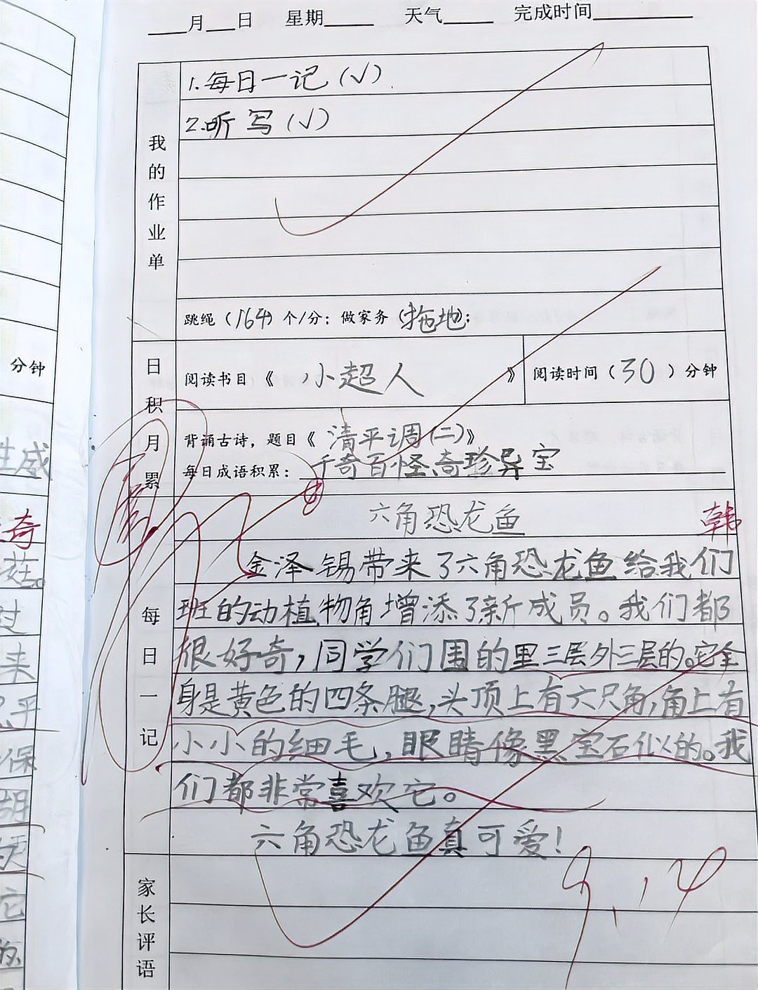 六腳龍魚多少錢一條圖片 六腳龍魚多少錢一條圖片 龍魚百科 第8張