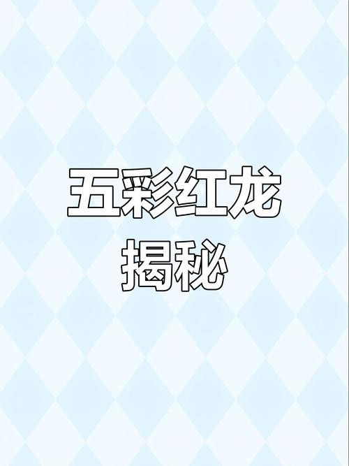金龍魚的圖片大全高清大圖 金龍魚的圖片大全高清大圖 龍魚百科 第26張