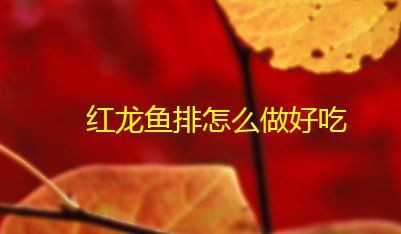 賽級紅龍魚最佳烹飪方法 賽級紅龍魚最佳烹飪方法 龍魚百科 第1張