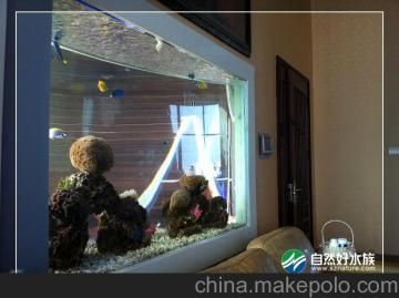 深圳魚缸定做定制，深圳魚缸定做價格范圍，深圳魚缸設(shè)計案例欣賞