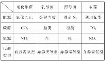 龍魚混養打架：關于龍魚混養打架的一些詳細信息 龍魚混養打架：關于龍魚混養打架的一些詳細信息 龍魚百科 第1張