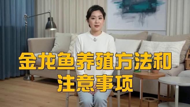 高背金龍魚飼養注意事項 高背金龍魚飼養注意事項 龍魚百科 第2張