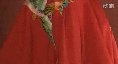 赤荔鳳冠魚繁殖周期詳解， 赤荔鳳冠魚繁殖周期詳解， 龍魚百科 第3張