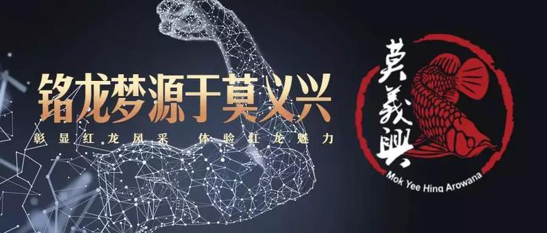 印尼紅龍魚場有哪些 印尼紅龍魚場有哪些 龍魚百科 第8張