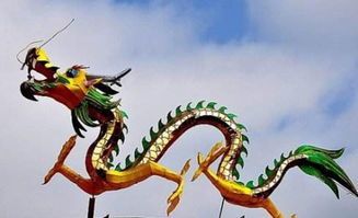 屬龍人適合養魚嗎：屬龍人適合養魚，但不意味著所有人都適合養魚