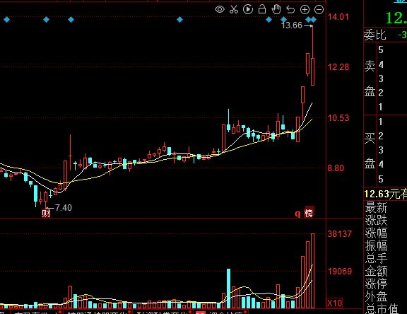 金龍魚今日股價是多少錢，金龍魚今日股價是多少錢今日股價是多少錢