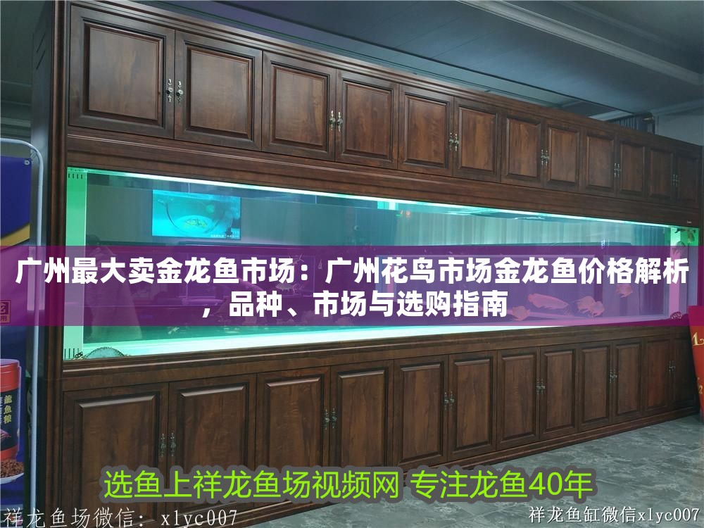 廣州最大賣金龍魚市場：廣州花鳥市場金龍魚價格解析，品種、市場與選購指南 廣州最大賣金龍魚市場：廣州花鳥市場金龍魚價格解析，品種、市場與選購指南 龍魚百科 第1張