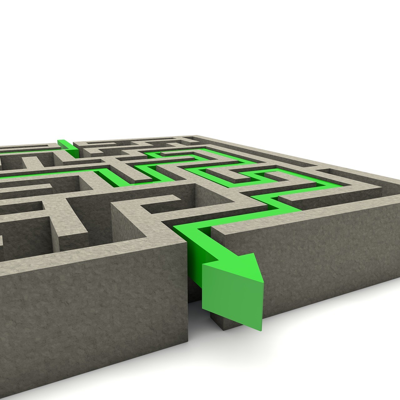 紅龍魚單養還是混養好養：紅龍魚混養視頻 紅龍魚單養還是混養好養：紅龍魚混養視頻 龍魚百科 第3張