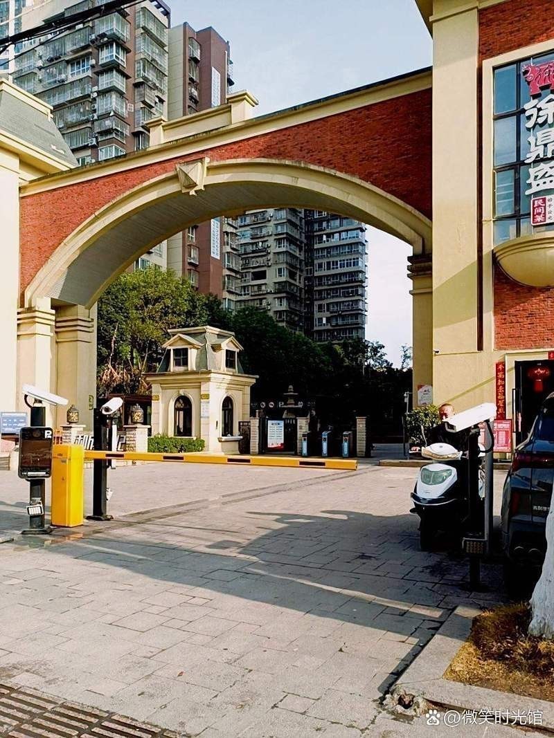 飛龍魚多少錢一斤 飛龍魚多少錢一斤 龍魚百科 第7張