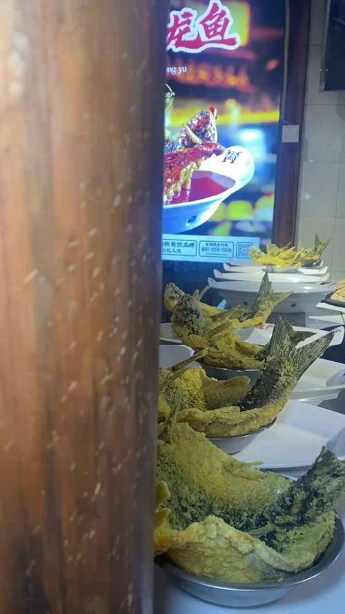 飛龍魚多少錢一斤 飛龍魚多少錢一斤 龍魚百科 第6張