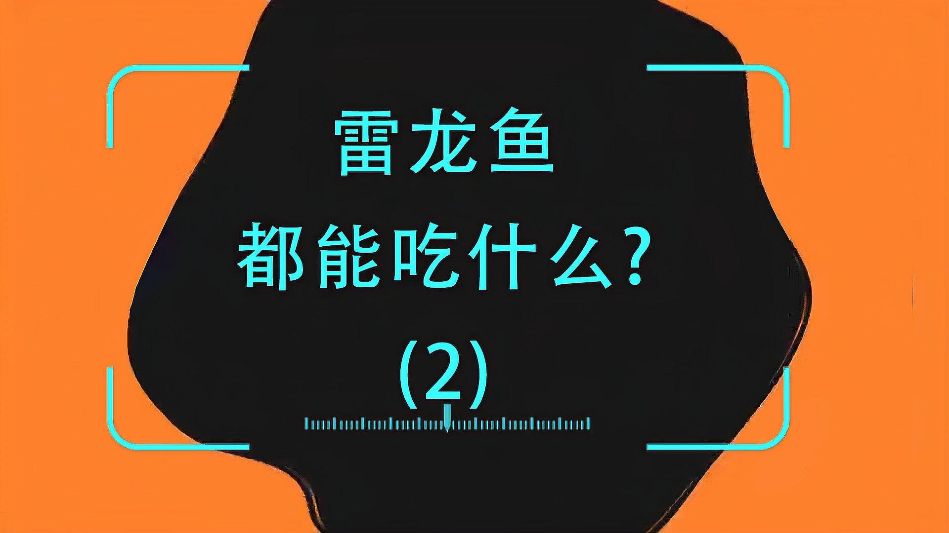 雷龍魚主要吃什么