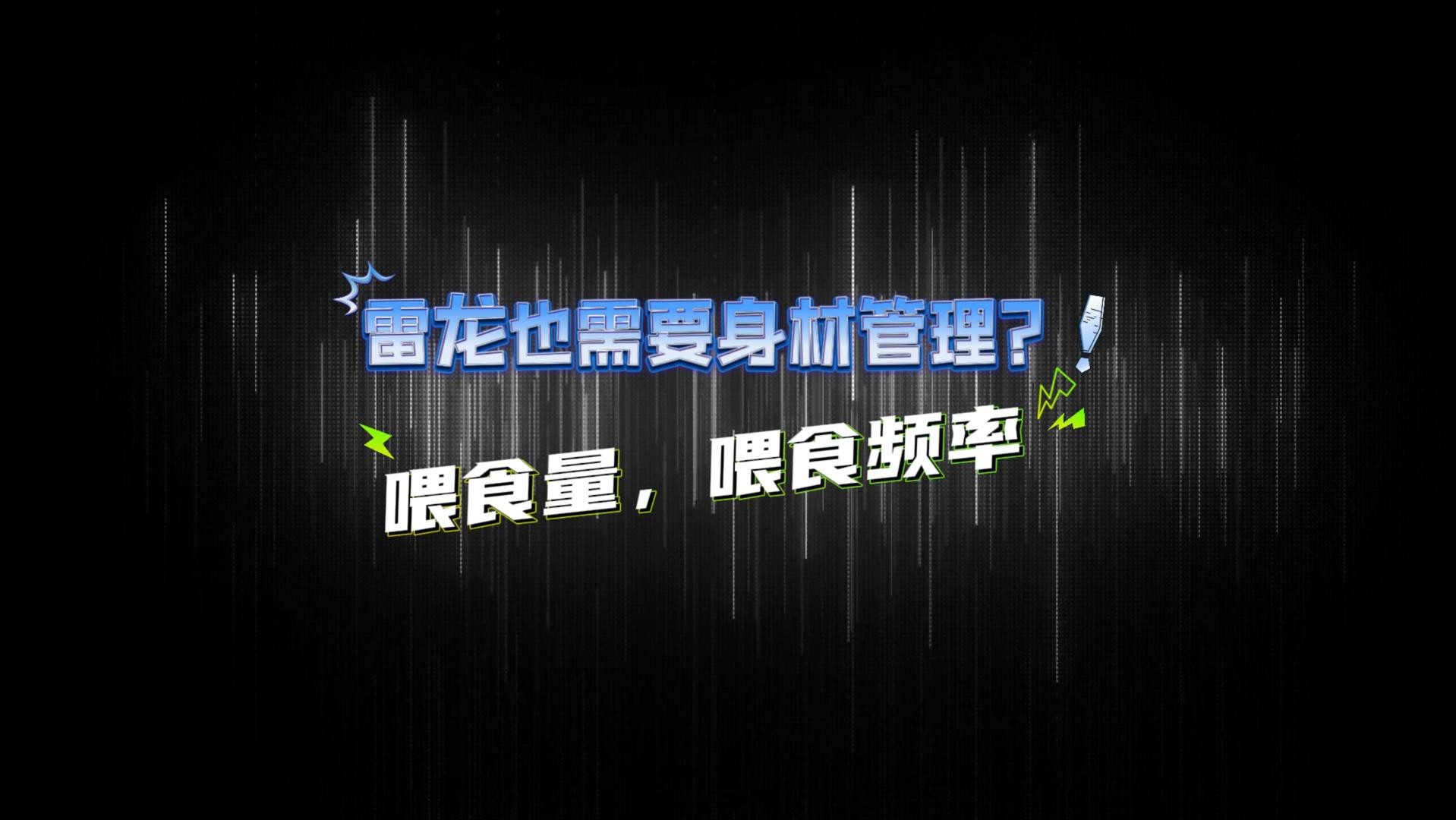 雷龍魚多久喂一次合適？