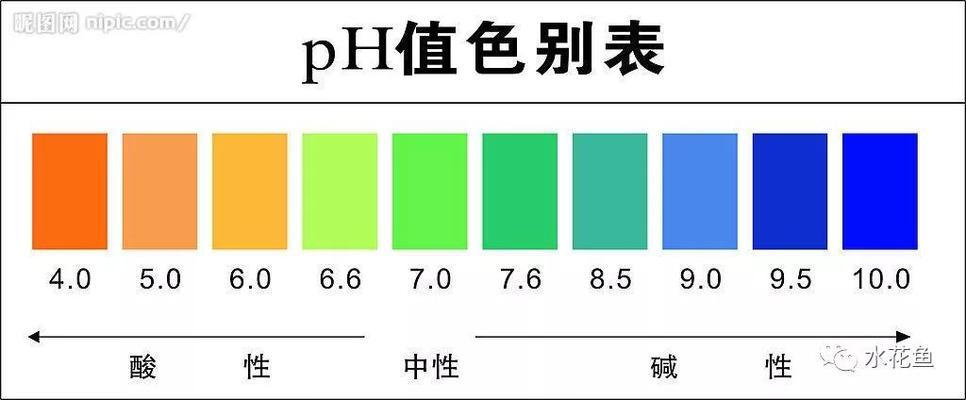 上海魚缸批發廠家地址及電話多少啊（ 上海有專業做魚缸的）