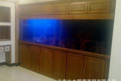 龍魚缸定制：龍魚缸定制是一種針對個人需求的定制服務旨在為顧客打造獨一無二的魚缸