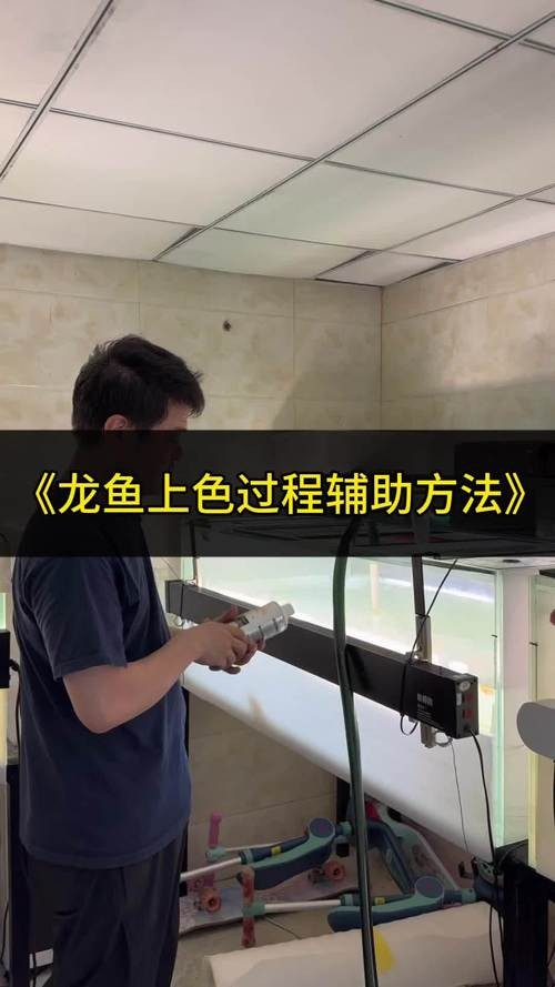 龍魚魚缸需要多久換一次水？ 龍魚魚缸需要多久換一次水？ 龍魚百科 第6張