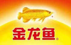 金龍魚客服官方電話 金龍魚客服官方電話 龍魚百科 第1張