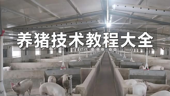 現代科學養殖技術有哪些？
