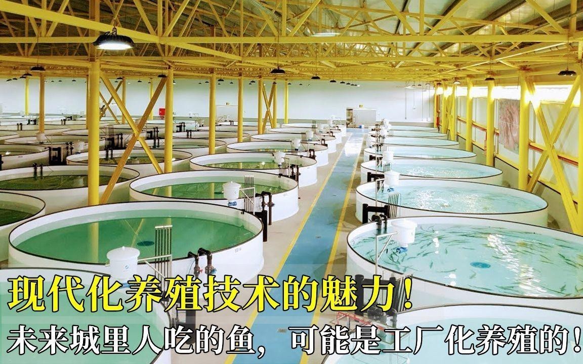 現代科學養殖技術有哪些？