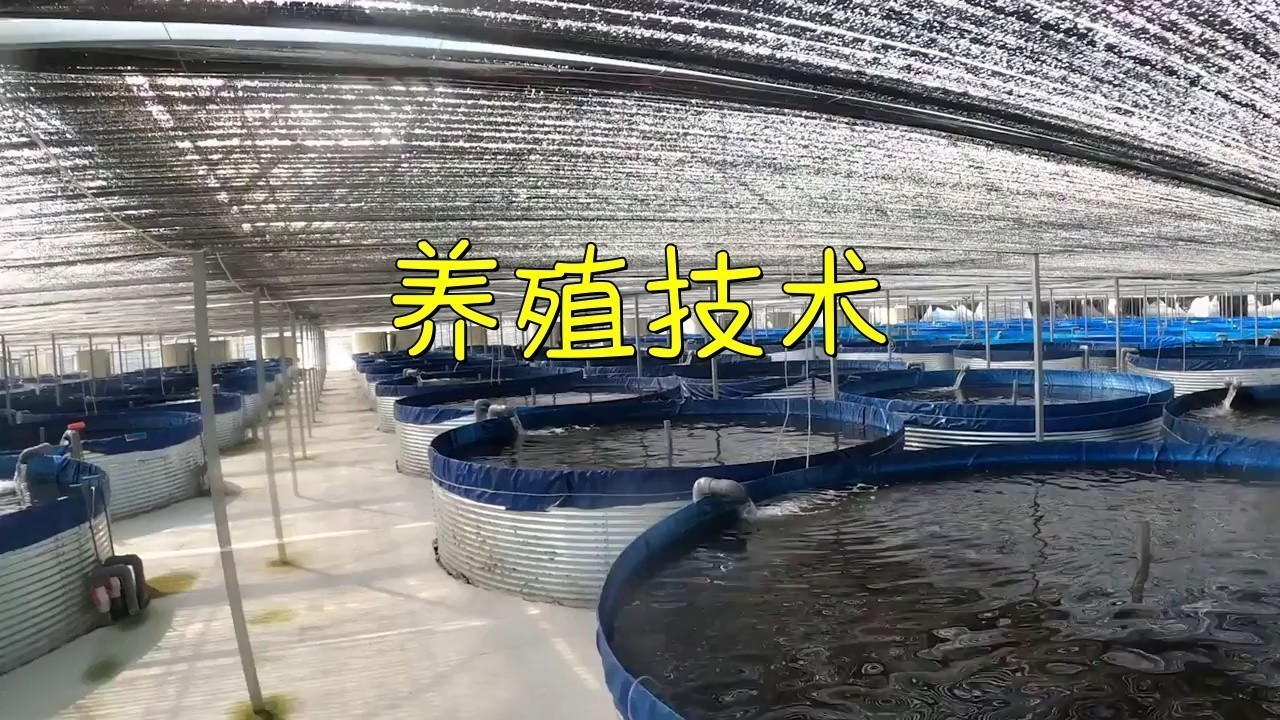 現代科學養殖技術有哪些？