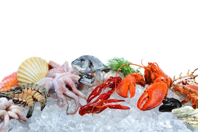 哪里可以找到更多高清龍魚圖片？ 哪里可以找到更多高清龍魚圖片？ 龍魚百科 第26張