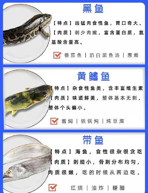 如何預防龍頭魚中毒？