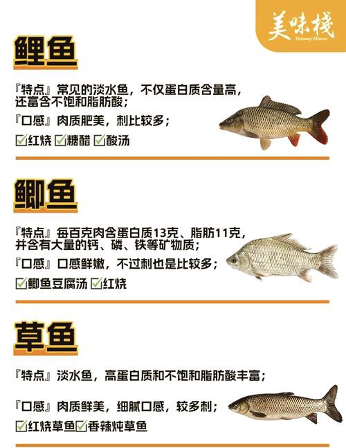 如何預防龍頭魚中毒？