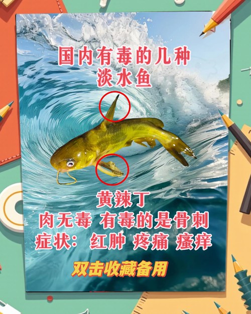 如何預防龍頭魚中毒？