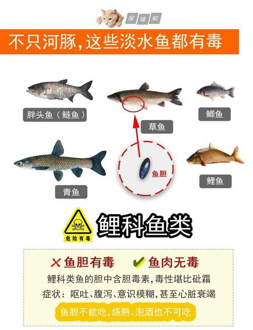 如何預防龍頭魚中毒？