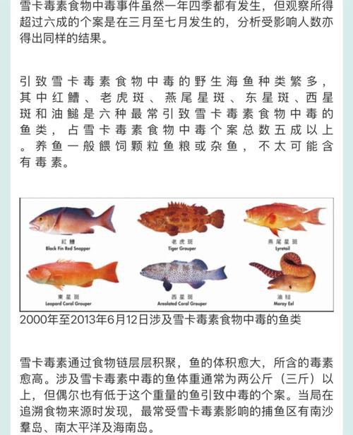 如何預防龍頭魚中毒？