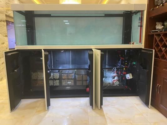 白金龍魚怎么養殖方法：白金龍魚怎么養殖，白金龍魚的養殖方法需要注意什么